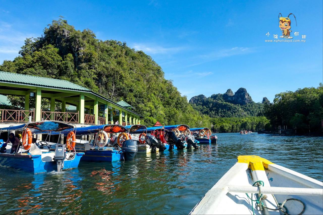 Jelajahi Mangrove Langkawi: Tur Ekosistem Pesisir yang Menakjubkan